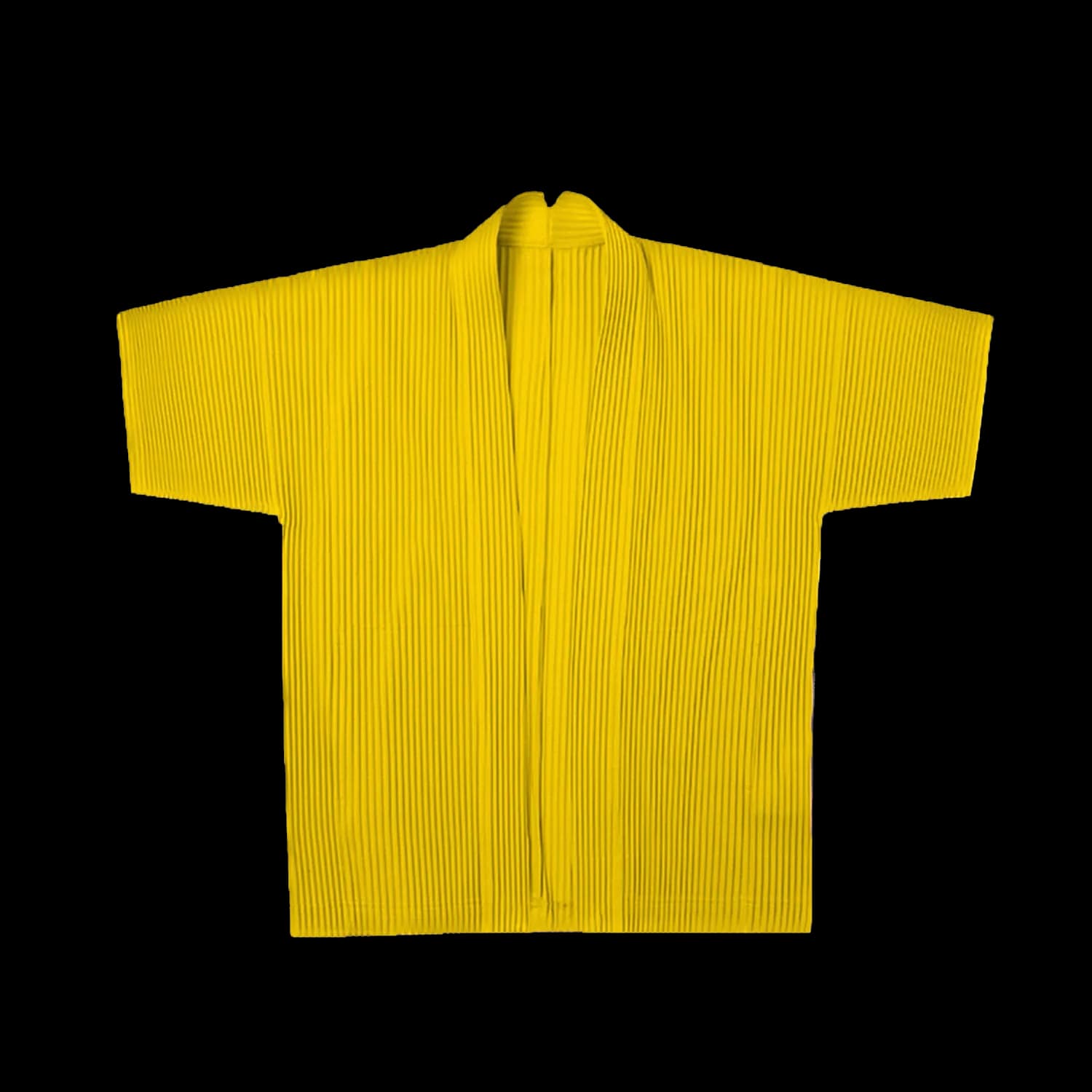 Issey Miyake Pleated Robe