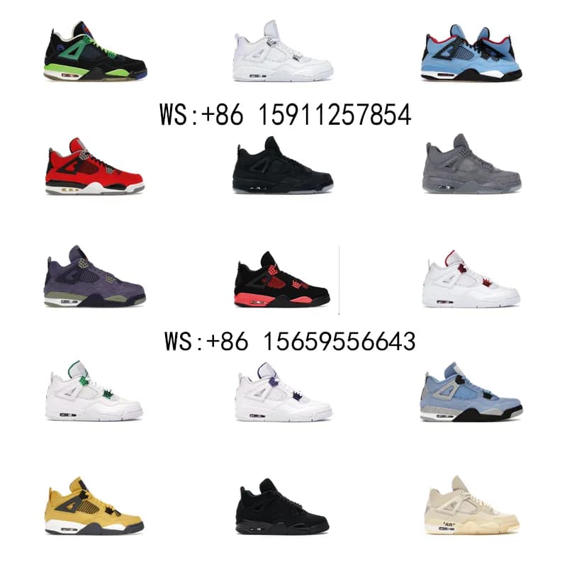 collection 1 (81)