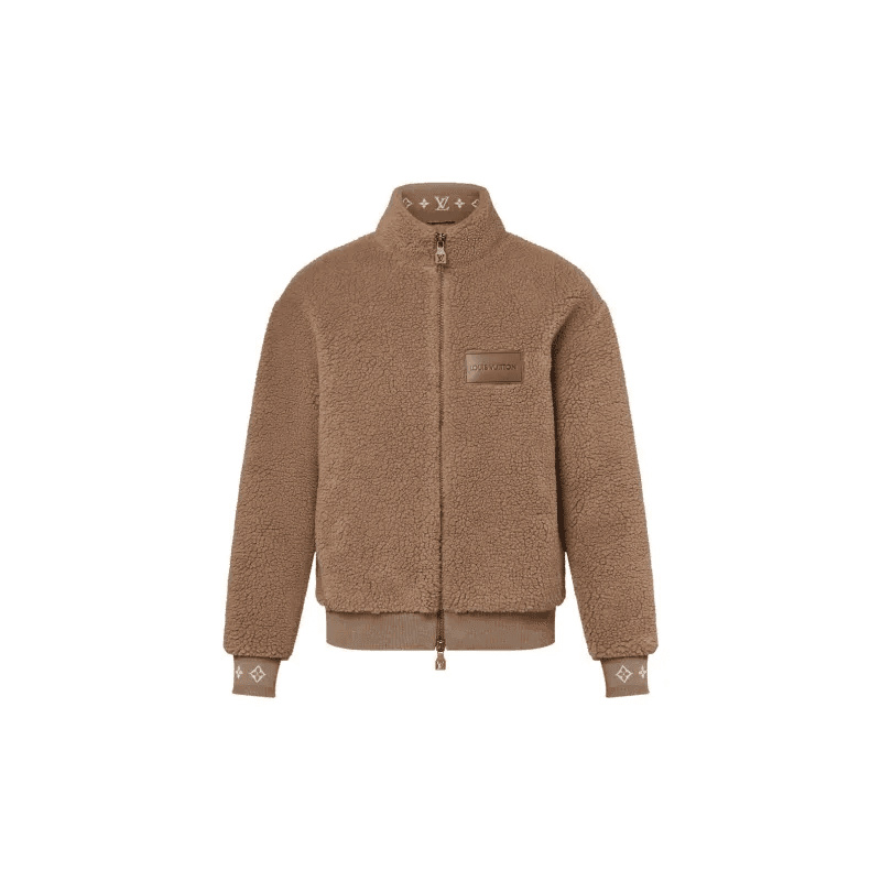 Louis Vuitton Velvet Brown