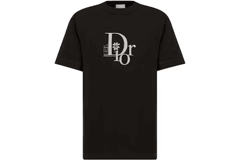Dior x ERL